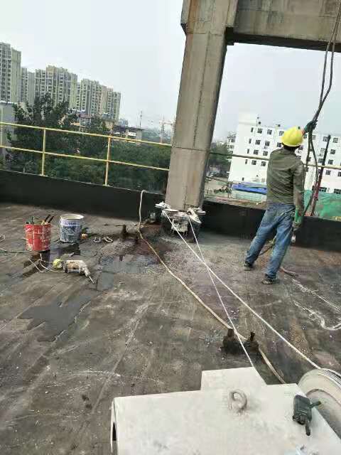 香港六宝典资料大全