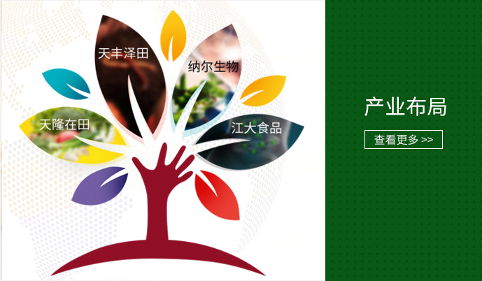 香港六宝典资料大全