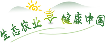 生态农业 健康中国