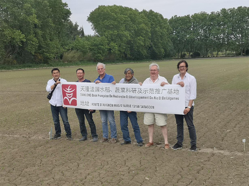 香港六宝典资料大全