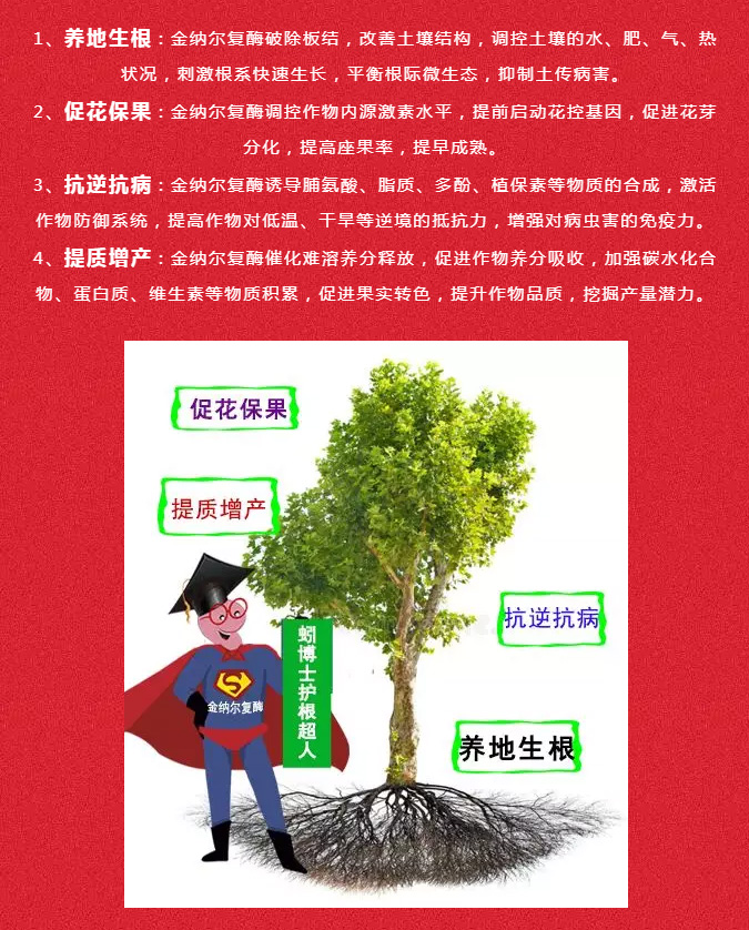 香港六宝典资料大全