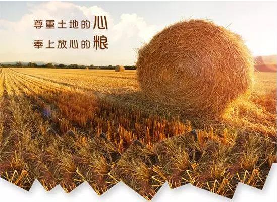 香港六宝典资料大全