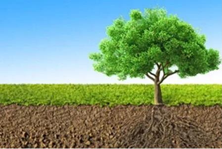 香港六宝典资料大全