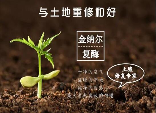 香港六宝典资料大全