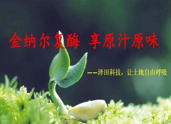 香港六宝典资料大全