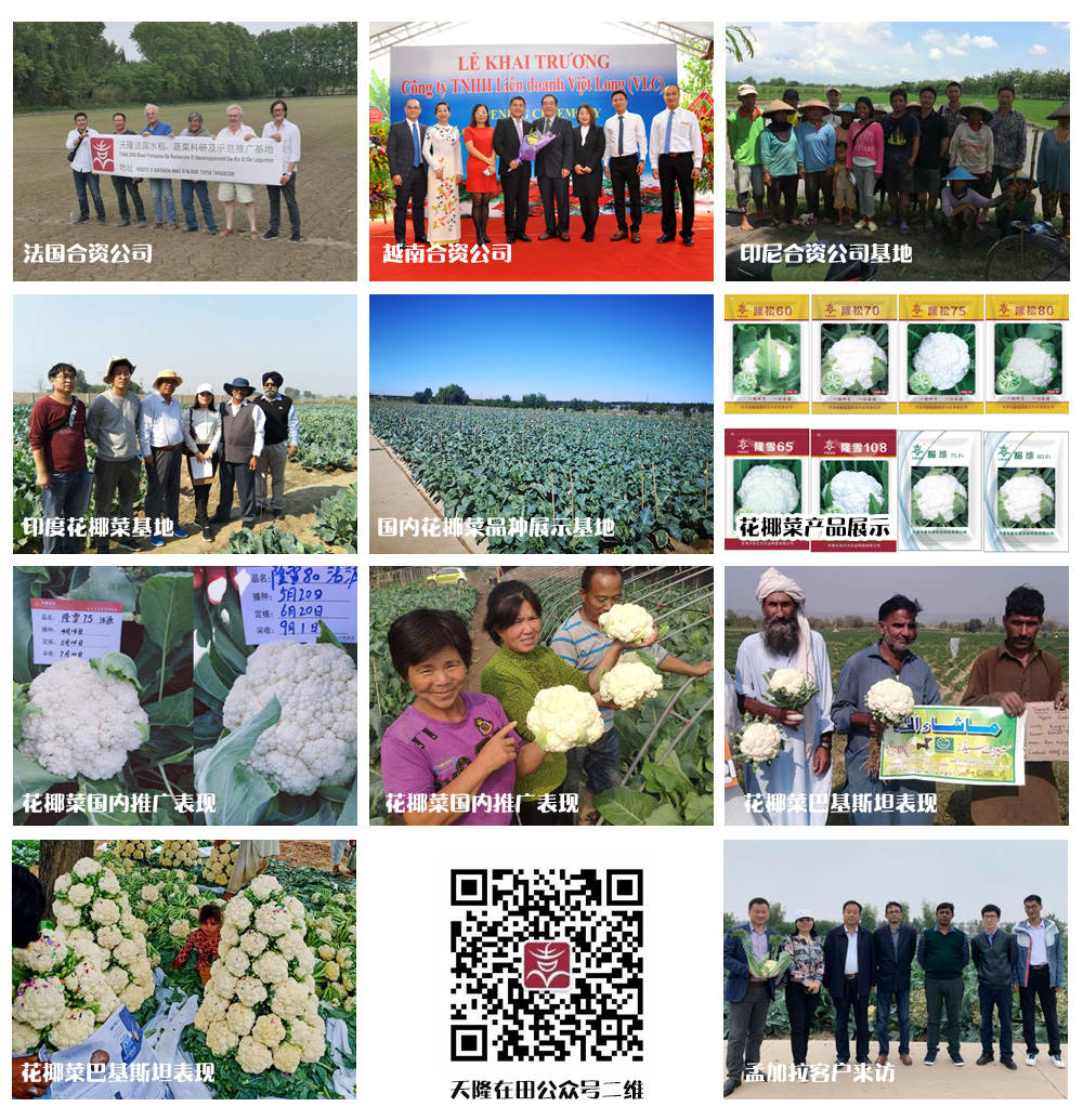 香港六宝典资料大全