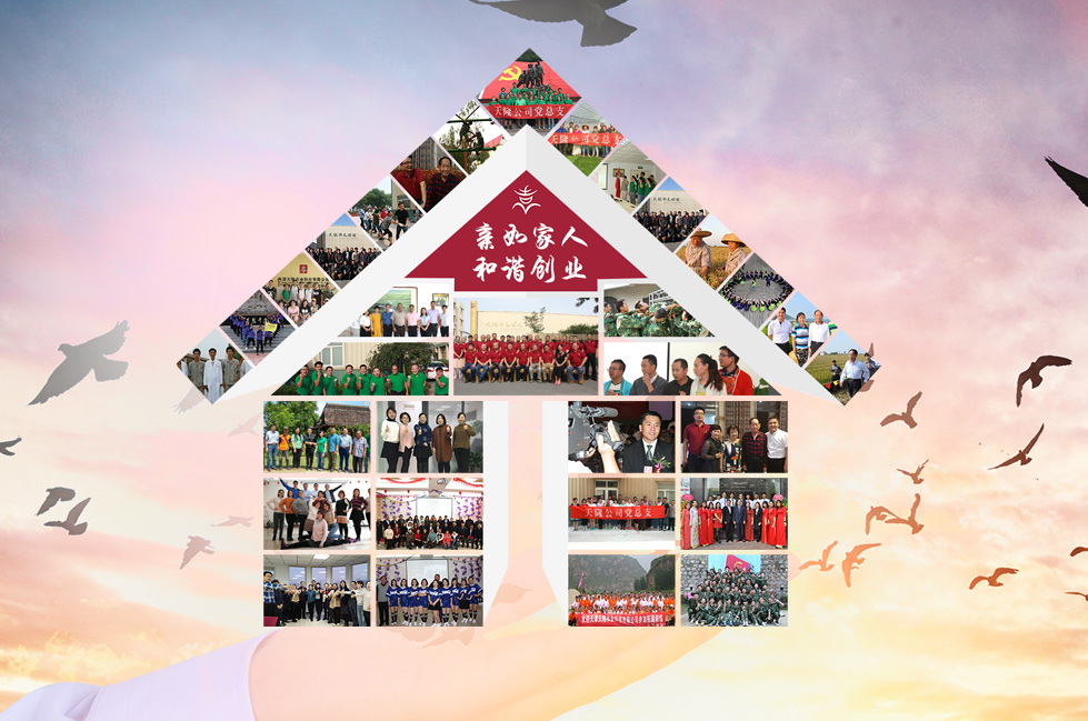 香港六宝典资料大全