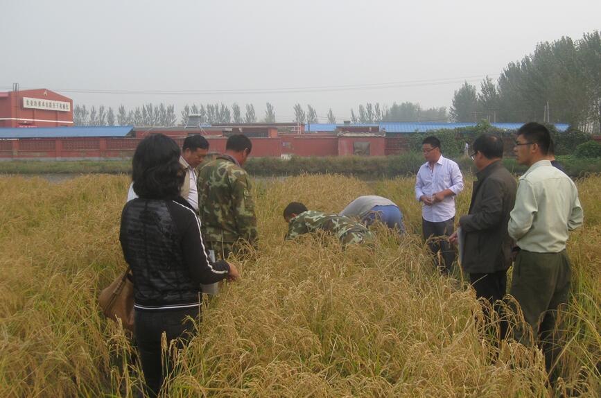 香港六宝典资料大全