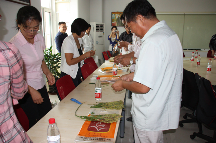香港六宝典资料大全