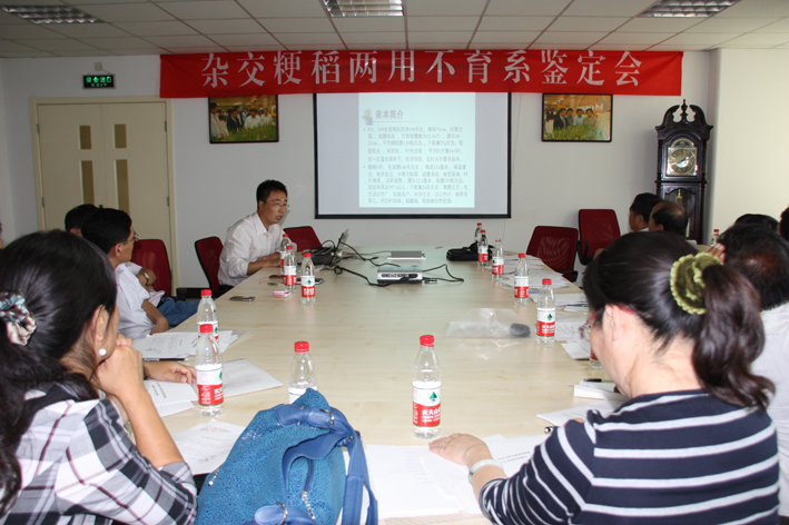 香港六宝典资料大全