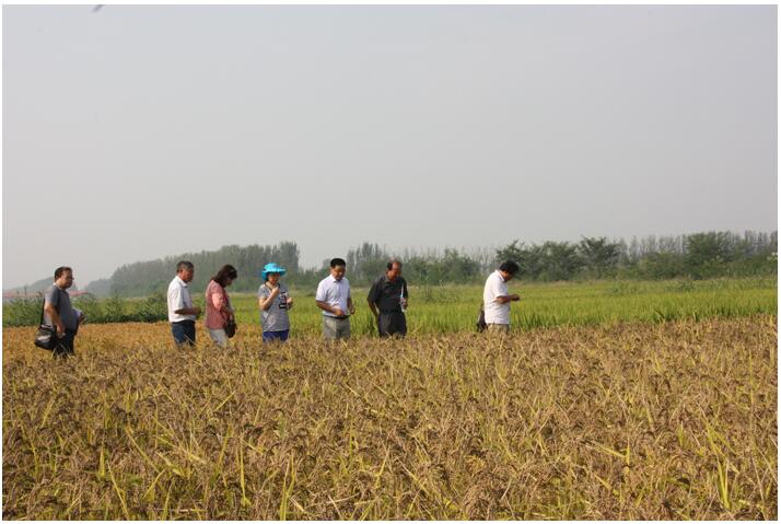 香港六宝典资料大全