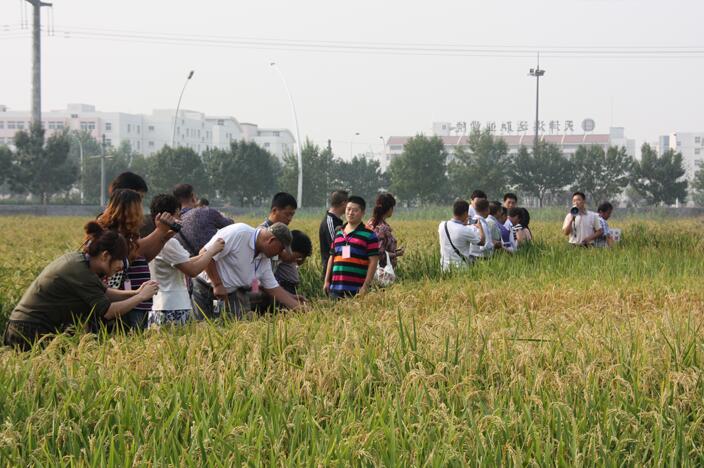 香港六宝典资料大全