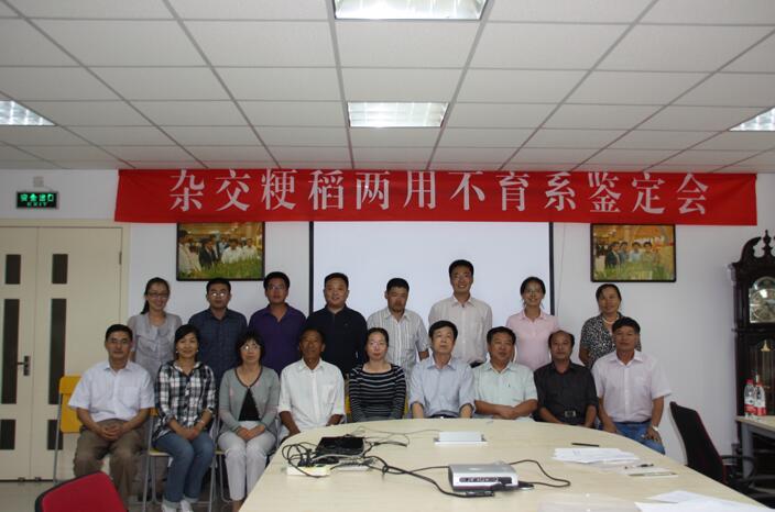 香港六宝典资料大全