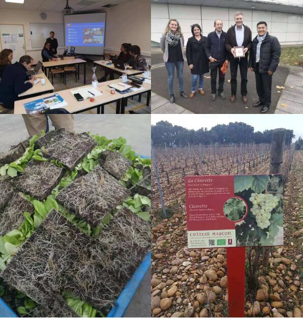 香港六宝典资料大全