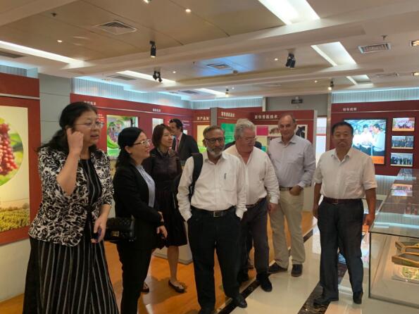 香港六宝典资料大全