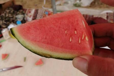 香港六宝典资料大全