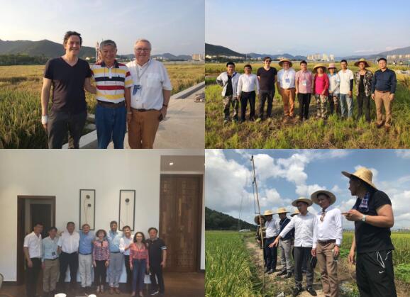 香港六宝典资料大全