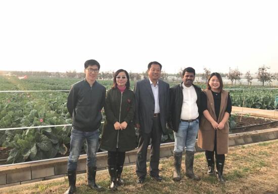 香港六宝典资料大全