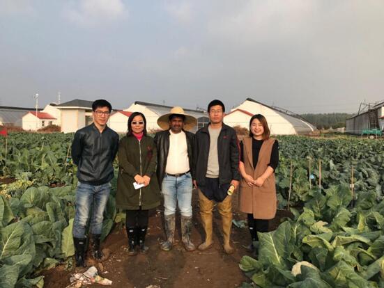 香港六宝典资料大全