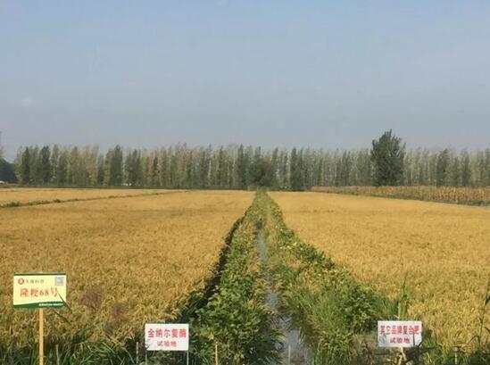 香港六宝典资料大全