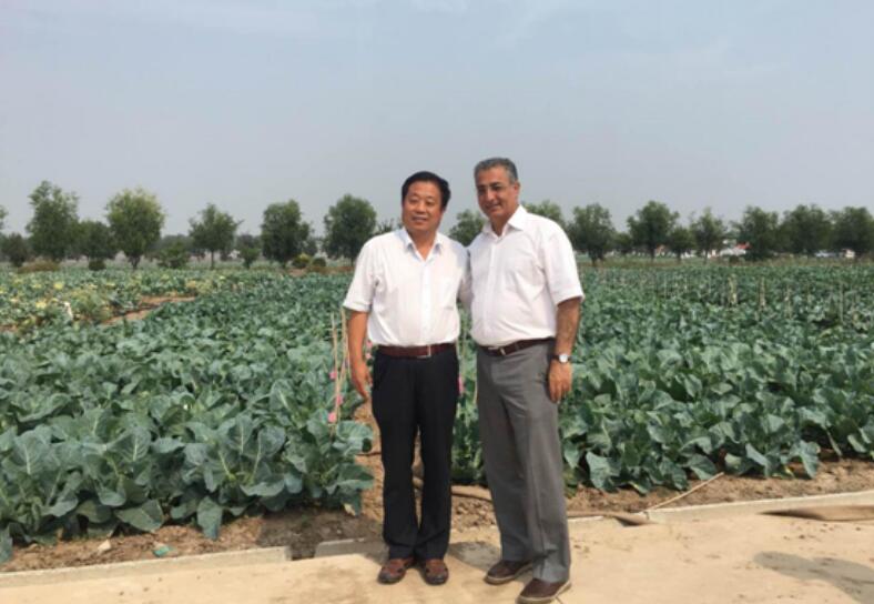 香港六宝典资料大全