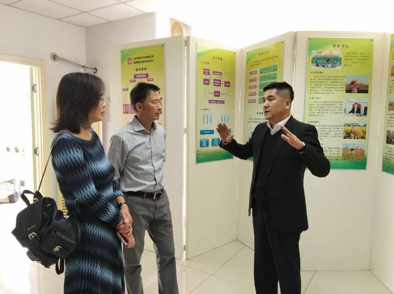 香港六宝典资料大全