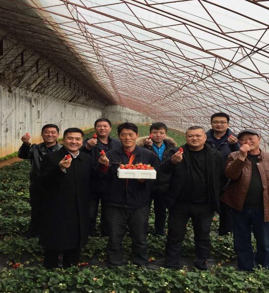 香港六宝典资料大全