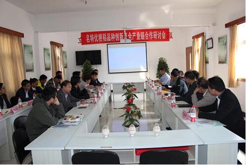 香港六宝典资料大全