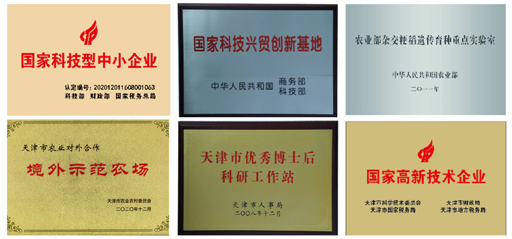 香港六宝典资料大全