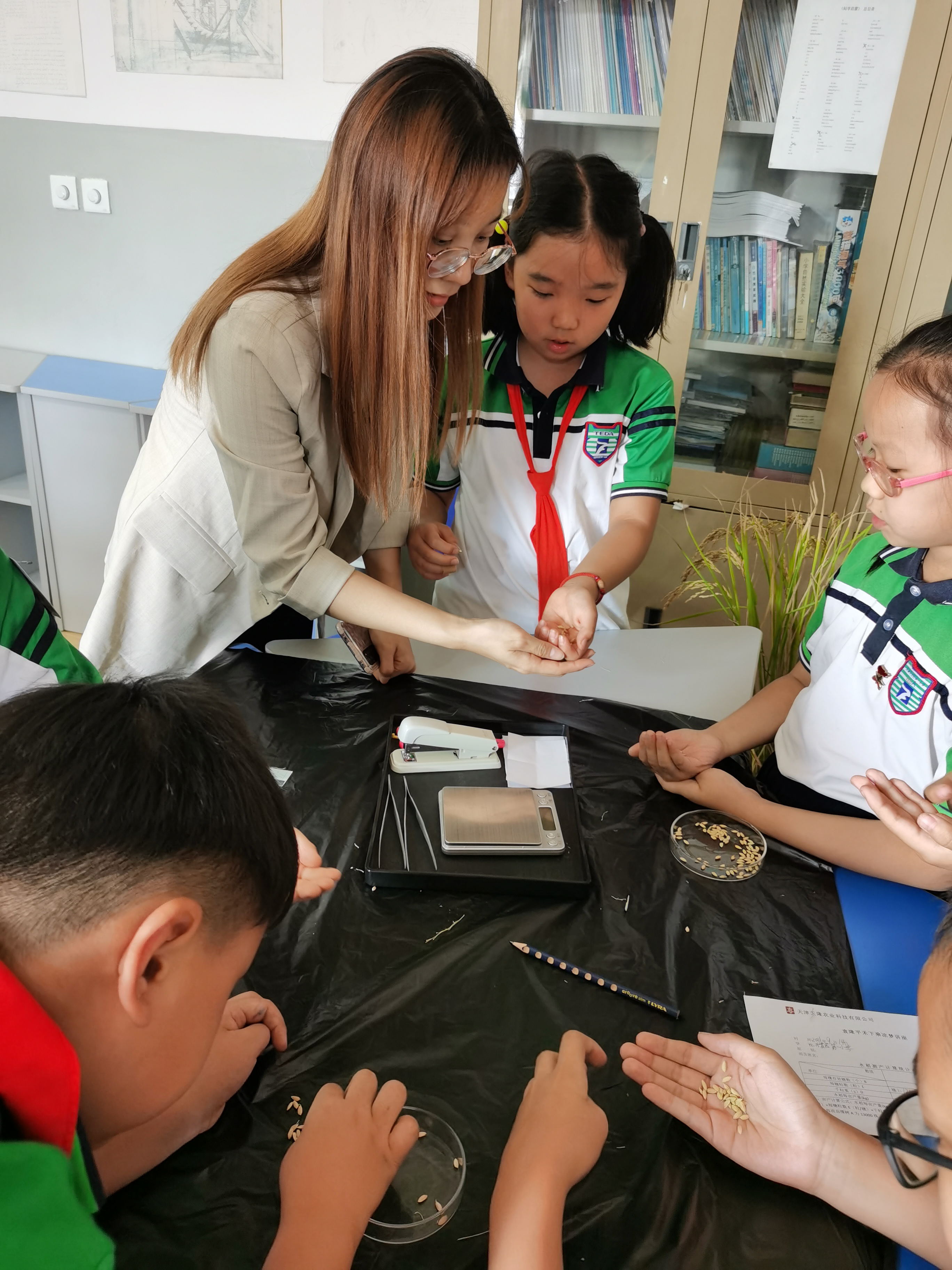 香港六宝典资料大全