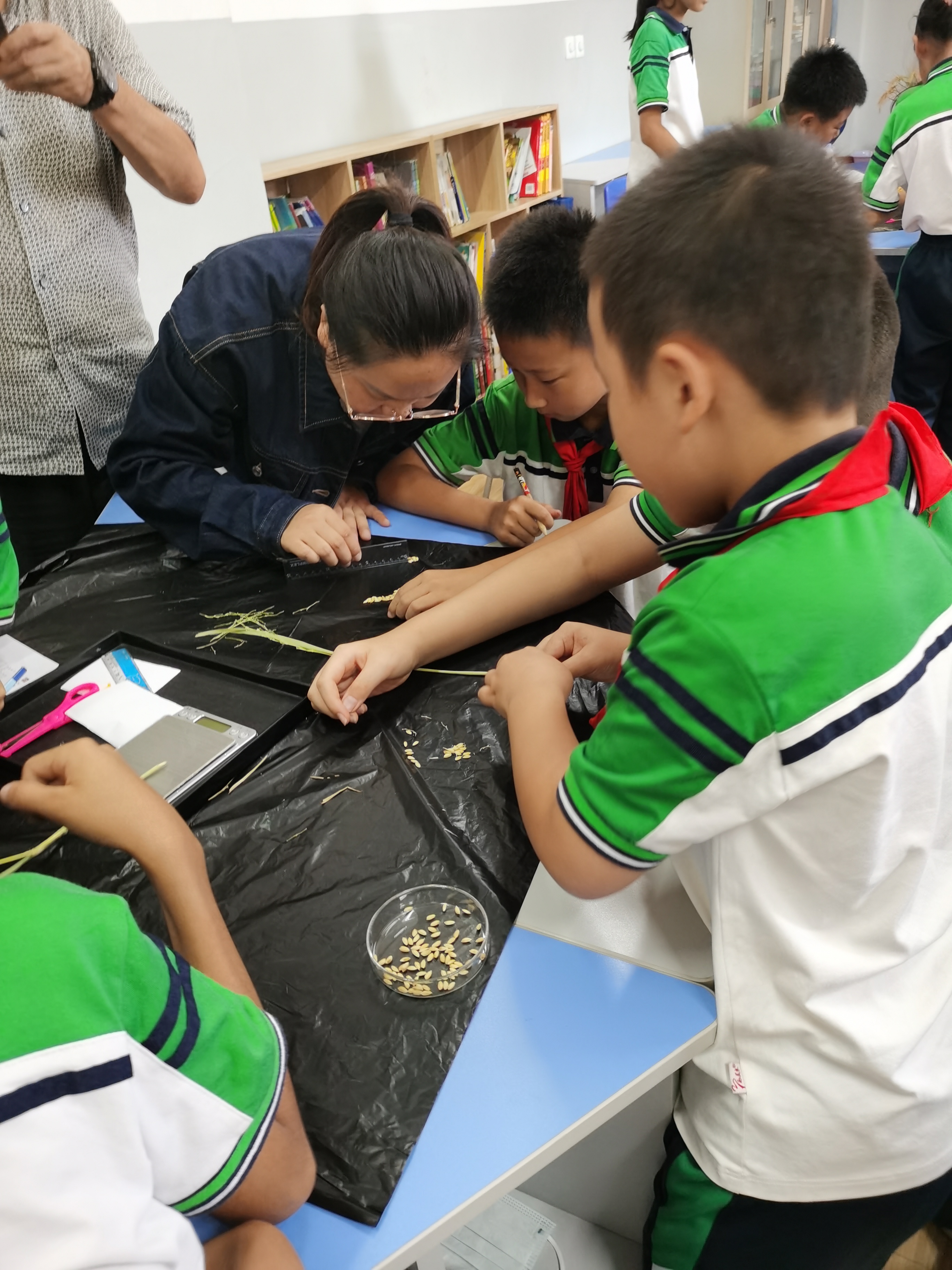 香港六宝典资料大全