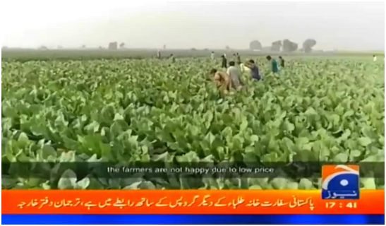 香港六宝典资料大全