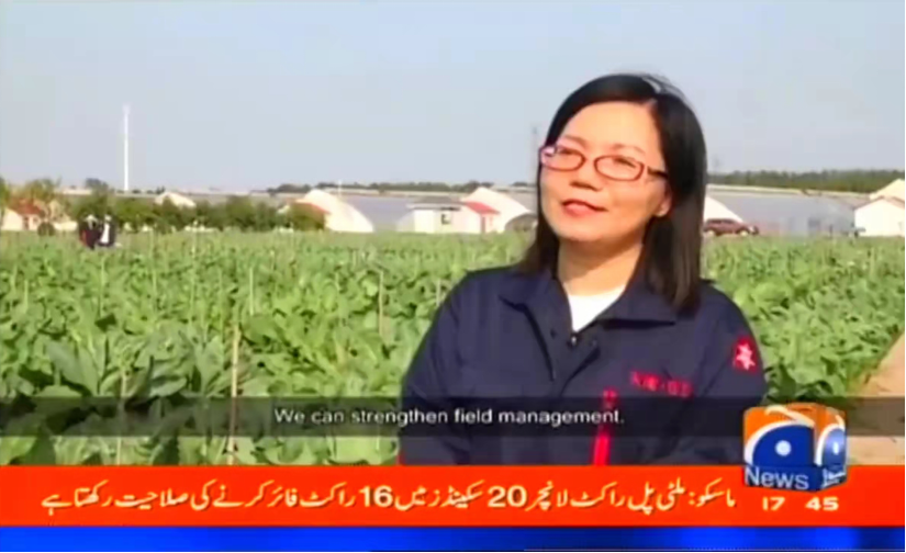 香港六宝典资料大全