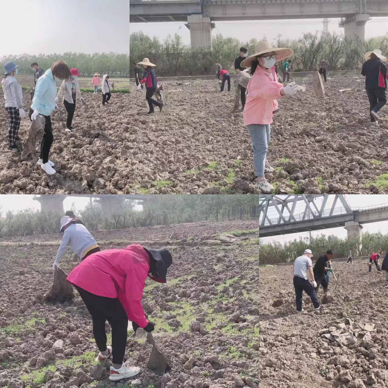 香港六宝典资料大全
