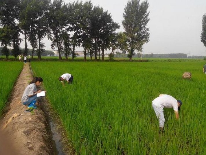 天隆农业科技有限公司技术总监华泽田教授带队对公司主推产品示范点进行调研